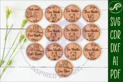 Woodland animals themed Baby monthly milestone discs SVG Product Image 1