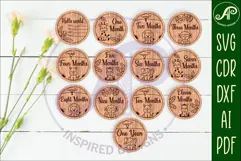 Cute Safari Animal Baby monthly milestone discs SVG Product Image 1
