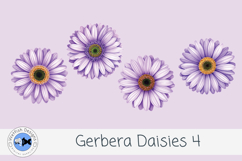 Watercolor Gerbera Daisies PNG Floral Clipart Set 4 Product Image 2