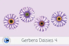 Watercolor Gerbera Daisies PNG Floral Clipart 4 Product Image 2
