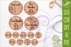 Cute Baby Dragon Milestone Discs, Monthly Baby Photo Props, Product Image 1