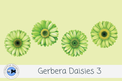Watercolor Gerbera Daisies PNG Floral Clipart Set 3 Product Image 2