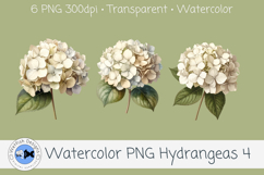 Watercolor Hydrangea PNG Clipart Set 4 Product Image 2