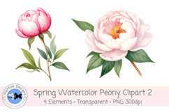 Watercolor PNG 300dpi Peony Flowers 2 Product Image 2