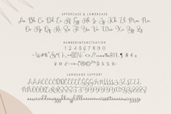 Bringelo Handwritten Font Product Image 12