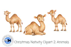 Christmas Nativity Clipart: Animals| Watercolor PNG Product Image 2