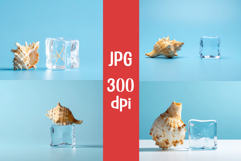 4 A seashell placed next to an ice cube on plain background Product Image 1