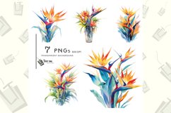 watercolor strelitzia clipart bundle sublimation tropical Product Image 1