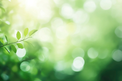 Green Leaves with Bokeh Background Wallpaper Product Image 1