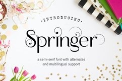 Web Font Springer Product Image 1