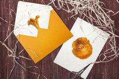 Chanterelle Mushrooms Set Product Image 3