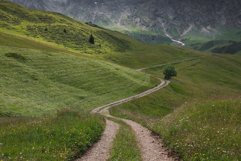 Path at Seiser Alm Product Image 1