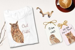 Cute Owls Clipart Watercolor Elements Hand Painted Bird Product Image 2