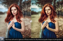 25 Professional Premium Lightroom Preset Product Image 7