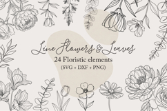 Botanical Line Art PNG, Greenery Line Art, Floral Line Art Product Image 1