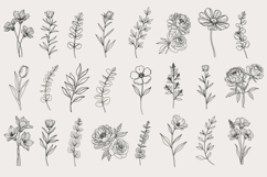Botanical Line Art PNG, Greenery Line Art, Floral Line Art Product Image 2