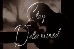 Web Font BlackSilver Brush Font Product Image 4