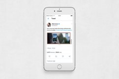 Blog Twitter Posts Product Image 6