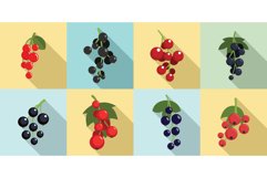Currant berry icons set, flat style Product Image 1