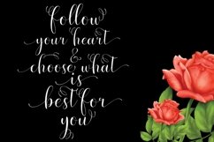 Web Font Espontise Script Product Image 2