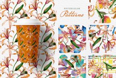 Orange lily Watercolor png Product Image 4
