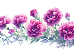 Purple Flowers with White Background Wallpaper Product Image 1