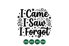 Humorous I Came I Saw I Forgot Typography SVG Product Image 1