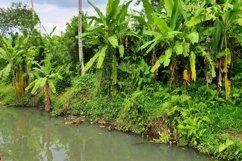 unspoiled river scenery Product Image 1