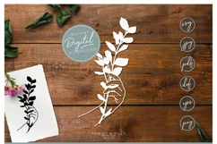 Floral Hand - SVG EPS DXF PNG PDF JPG Product Image 7