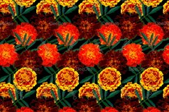 12 Seamless colorful FLOWER patterns bundle. Digital Paper Product Image 6