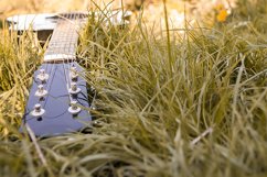 Acoustic guitar in the grass Product Image 1