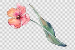 Bouquet of prometheus tulip Watercolor png Product Image 5