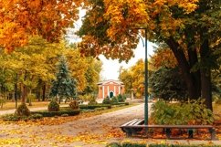 Empty wooden benches and picturesque autumn park Product Image 1