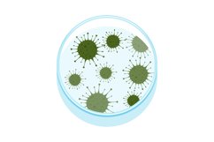 Vector illustration of petri dish with microbes Product Image 1