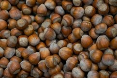 Hazelnut nut health organic food in the box in store Product Image 1