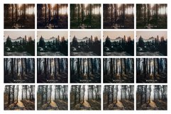 20 Moody Forest Lightroom Presets and LUTs Product Image 8