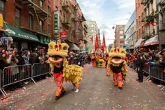 14 Photos of Lunar New Year Festival Product Image 4