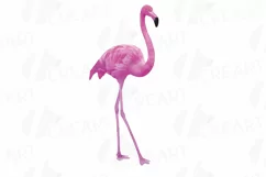 Watercolor Flamingos Clipart. Tropical clipart, 5 flamingo Product Image 3