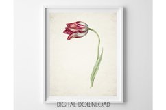 Tulip Print, Plant Wall Art Digital, Red Flower Watercolor Product Image 1