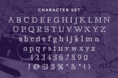 Web Font The Writer Product Image 4