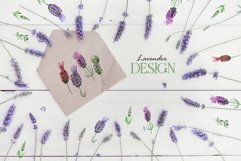lavender Watercolor png Product Image 4