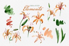 Orange lily Watercolor png Product Image 7