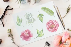 Watercolor Peonies set - Free Design of The Week Product Image 2