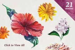 Florist: Watercolor Flowers Set Product Image 3