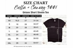 Bella Canvas Size Chart Mockup,Bella Canvas 3001 Size Chart Product Image 1