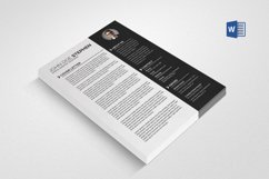 Professional Resume/CV Product Image 2