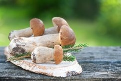 Chic porcini and boletus mushrooms on the table Product Image 1