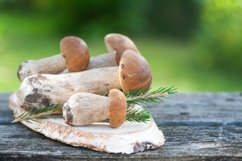 Chic porcini and boletus mushrooms on the table Product Image 1