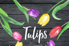 Tulip Watercolor clipart, flower clipart, wedding clipart Product Image 2