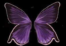 50 FAIRY MAGIC DUST, WINGS TRANSPARENT PNG PHOTOSHOP OVERLAY Product Image 10